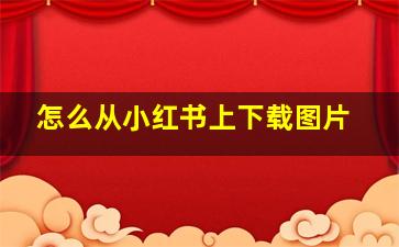 怎么从小红书上下载图片