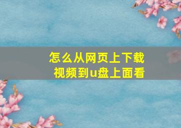 怎么从网页上下载视频到u盘上面看