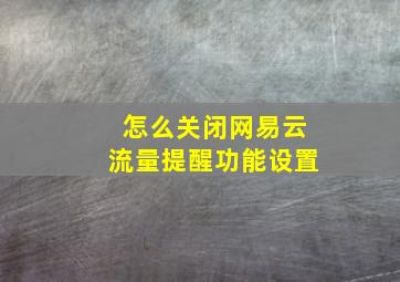 怎么关闭网易云流量提醒功能设置