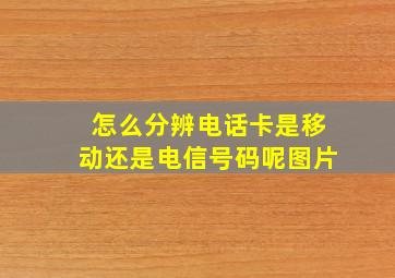 怎么分辨电话卡是移动还是电信号码呢图片