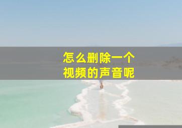 怎么删除一个视频的声音呢