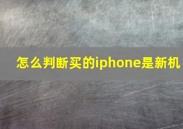 怎么判断买的iphone是新机