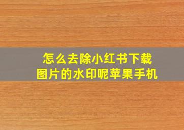 怎么去除小红书下载图片的水印呢苹果手机