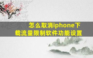 怎么取消iphone下载流量限制软件功能设置