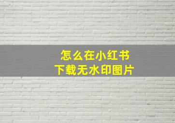 怎么在小红书下载无水印图片