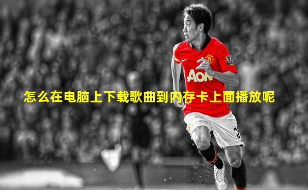 怎么在电脑上下载歌曲到内存卡上面播放呢