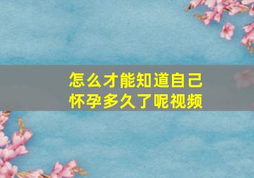 怎么才能知道自己怀孕多久了呢视频