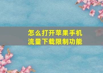 怎么打开苹果手机流量下载限制功能