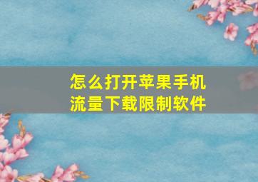 怎么打开苹果手机流量下载限制软件