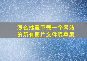 怎么批量下载一个网站的所有图片文件呢苹果