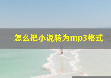 怎么把小说转为mp3格式