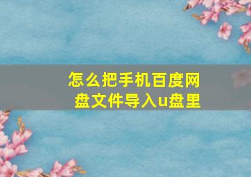 怎么把手机百度网盘文件导入u盘里