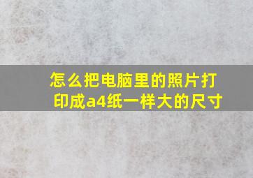 怎么把电脑里的照片打印成a4纸一样大的尺寸