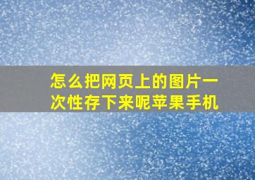 怎么把网页上的图片一次性存下来呢苹果手机