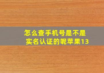 怎么查手机号是不是实名认证的呢苹果13