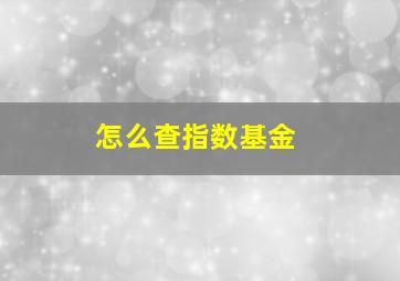 怎么查指数基金