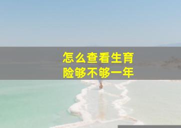 怎么查看生育险够不够一年