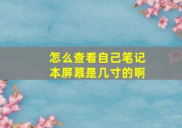 怎么查看自己笔记本屏幕是几寸的啊