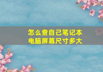 怎么查自己笔记本电脑屏幕尺寸多大