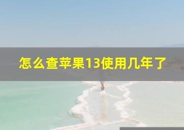 怎么查苹果13使用几年了