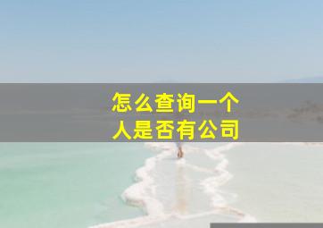 怎么查询一个人是否有公司