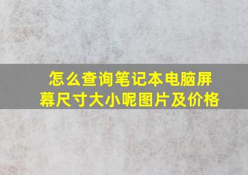 怎么查询笔记本电脑屏幕尺寸大小呢图片及价格