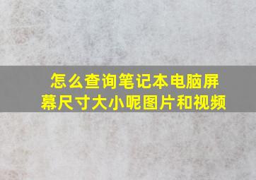 怎么查询笔记本电脑屏幕尺寸大小呢图片和视频