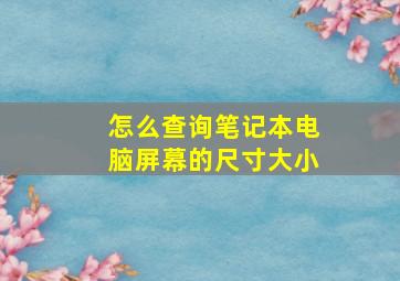 怎么查询笔记本电脑屏幕的尺寸大小