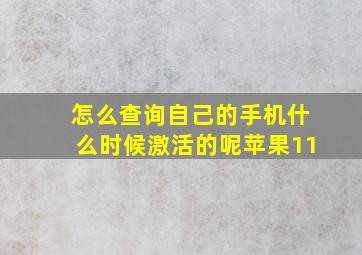 怎么查询自己的手机什么时候激活的呢苹果11