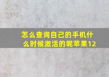 怎么查询自己的手机什么时候激活的呢苹果12