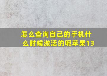 怎么查询自己的手机什么时候激活的呢苹果13