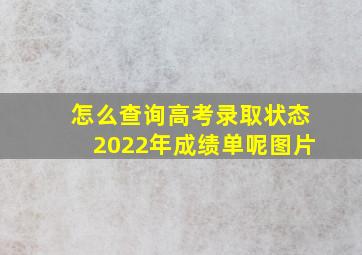 怎么查询高考录取状态2022年成绩单呢图片