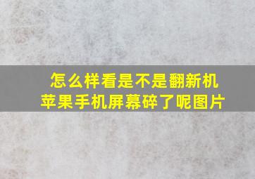 怎么样看是不是翻新机苹果手机屏幕碎了呢图片