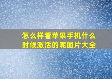 怎么样看苹果手机什么时候激活的呢图片大全