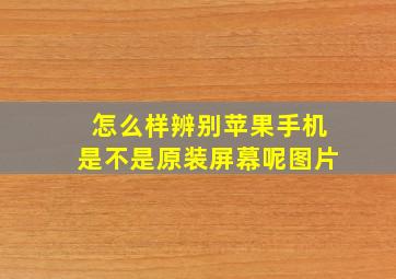 怎么样辨别苹果手机是不是原装屏幕呢图片