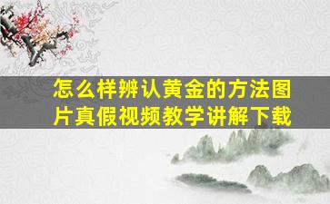 怎么样辨认黄金的方法图片真假视频教学讲解下载