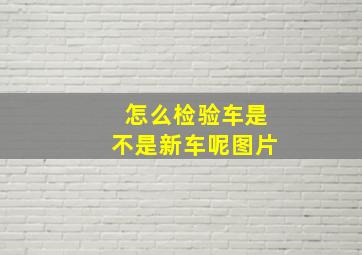 怎么检验车是不是新车呢图片