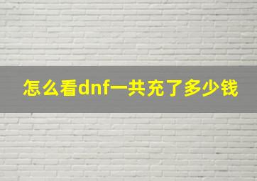 怎么看dnf一共充了多少钱