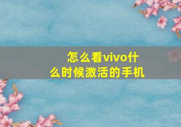 怎么看vivo什么时候激活的手机