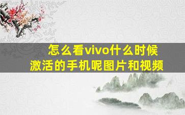 怎么看vivo什么时候激活的手机呢图片和视频