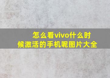 怎么看vivo什么时候激活的手机呢图片大全