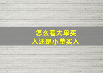 怎么看大单买入还是小单买入