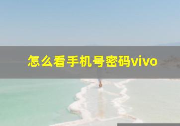 怎么看手机号密码vivo