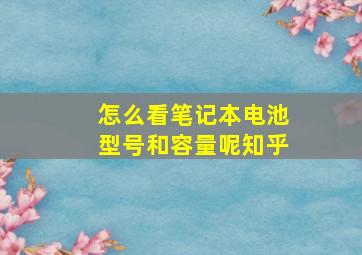 怎么看笔记本电池型号和容量呢知乎