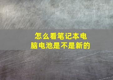 怎么看笔记本电脑电池是不是新的