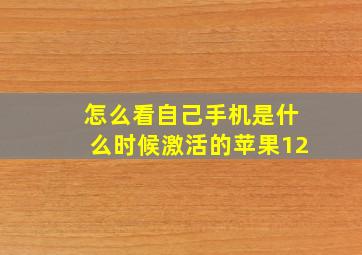 怎么看自己手机是什么时候激活的苹果12