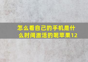 怎么看自己的手机是什么时间激活的呢苹果12