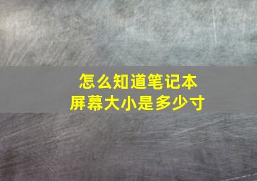 怎么知道笔记本屏幕大小是多少寸