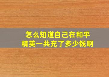 怎么知道自己在和平精英一共充了多少钱啊