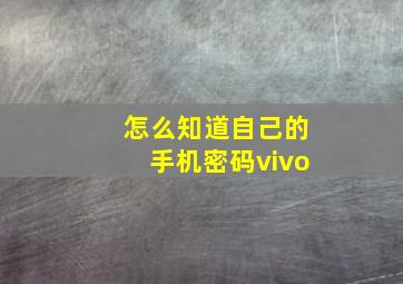 怎么知道自己的手机密码vivo